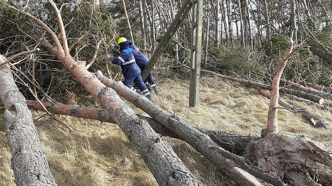 Wichura w Lubelskiem. Gdzie są problemy z dostawami prądu? [najnowszy raport]