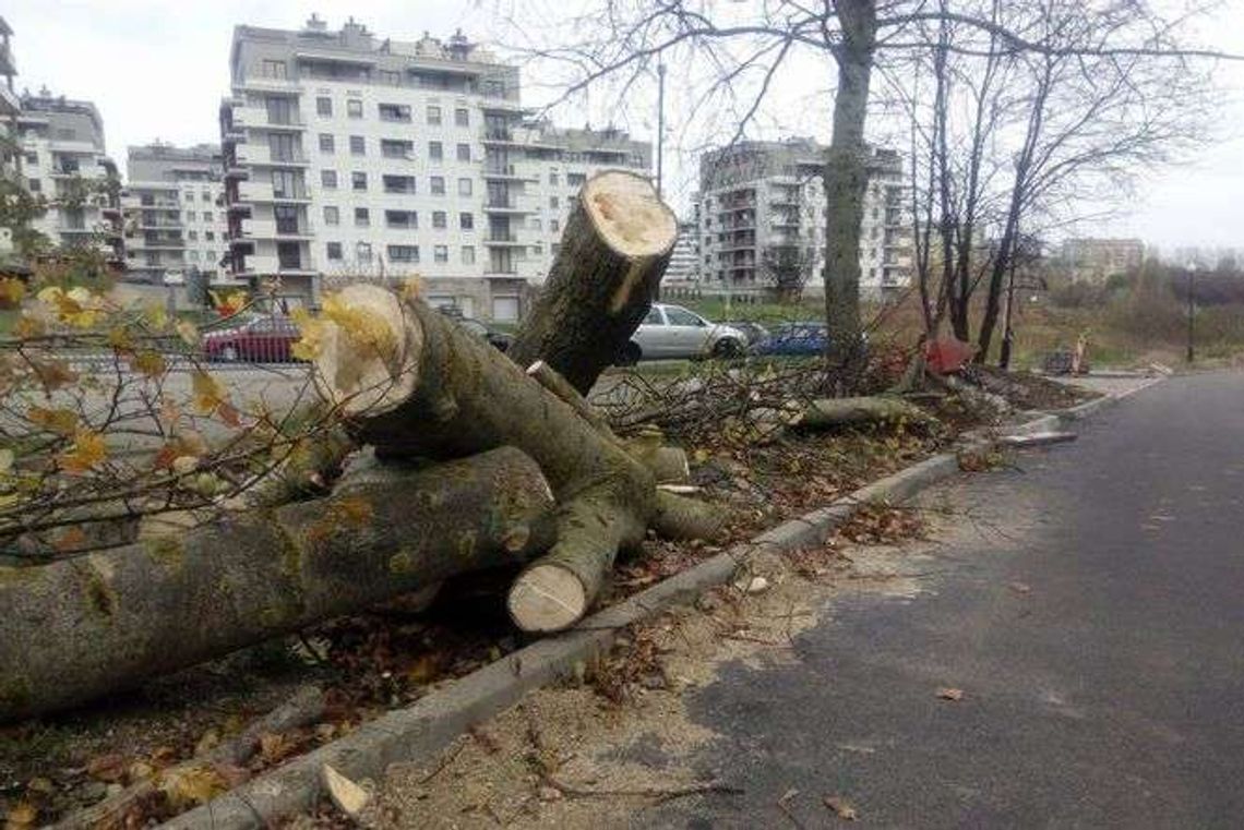 Wichury w woj. lubelskim: 2800 gospodarstw bez prądu, 142 interwencje strażaków Wichury w woj. lubelskim: 2800 gospodarstw bez prądu, 142 interwencje strażaków