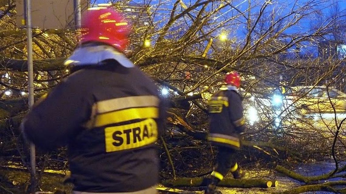 Wichury w woj. lubelskim, IMGW ostrzega. Drzewo spadło na DK 19