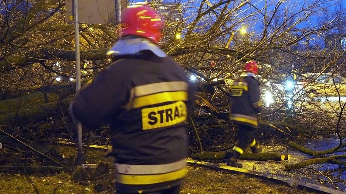 Wichury z deszczem przechodzą nad woj. lubelskim. Połamane drzewa i gałęzie Wichury z deszczem przechodzą nad woj. lubelskim. Połamane drzewa i gałęzie
