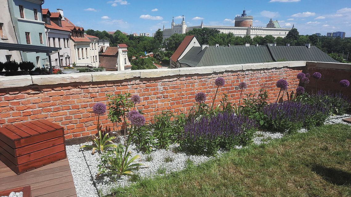 Widać efekty zielonego budżetu w Lublinie. Gdzie znajdziemy nowe skwery? Widać efekty zielonego budżetu w Lublinie. Gdzie znajdziemy nowe skwery?
