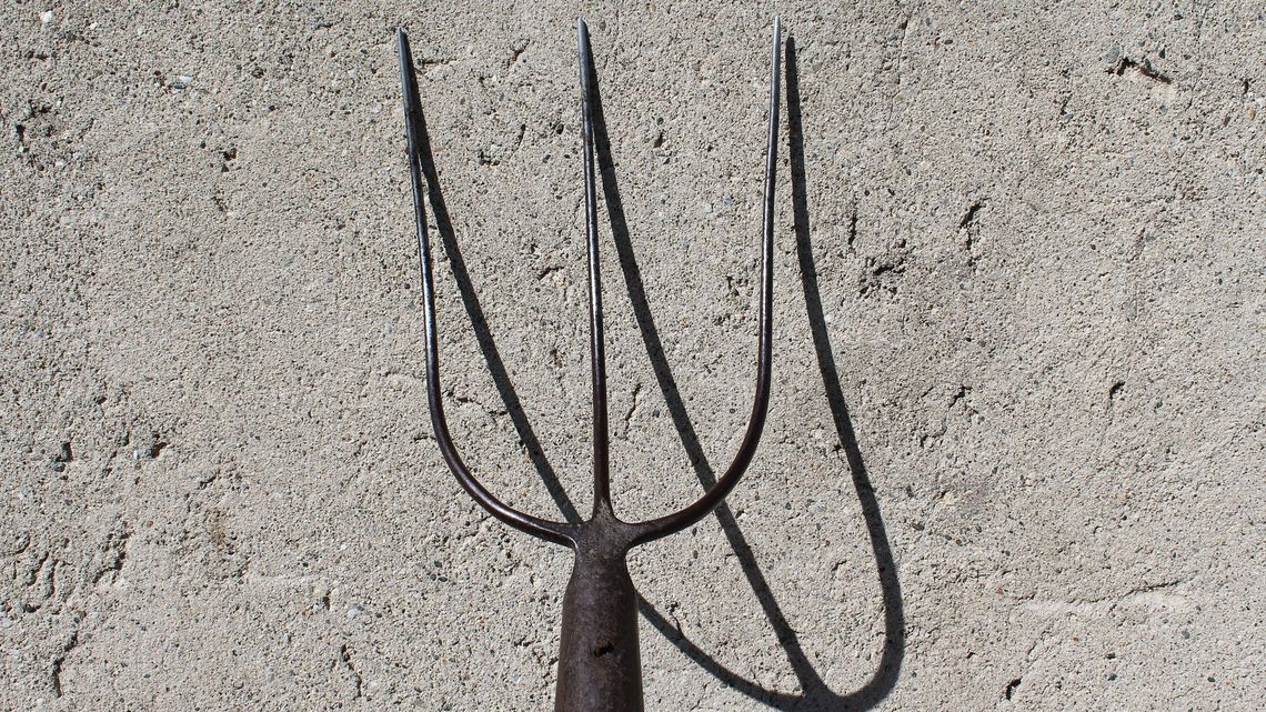 Widły jak bumerang. 27-latek został ranny w głowę