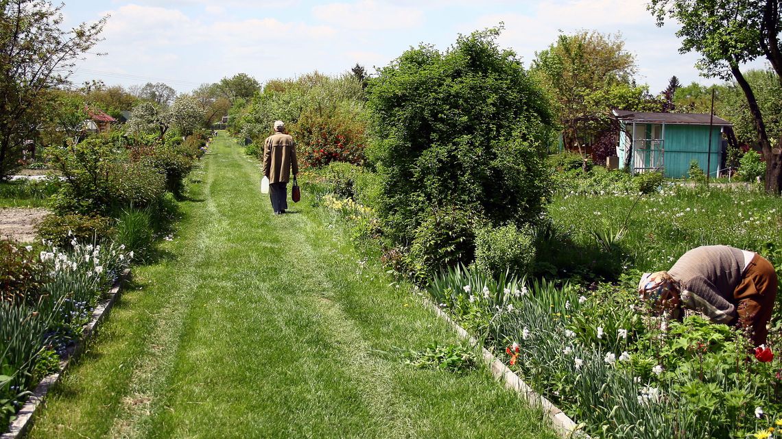 Więcej pieniędzy dla stowarzyszeń działkowych z Lublina