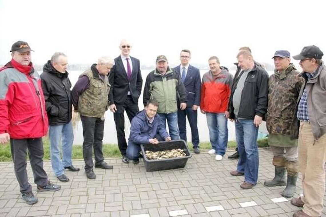 Więcej ryb w zalewie. Jak urosną, będziemy łowić