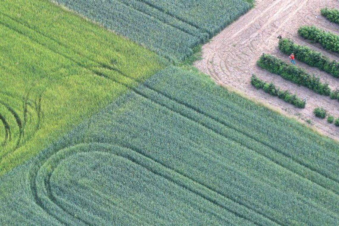 Więcej z dopłat dla 176 tysięcy rolników z woj. lubelskiego Więcej z dopłat dla 176 tysięcy rolników z woj. lubelskiego