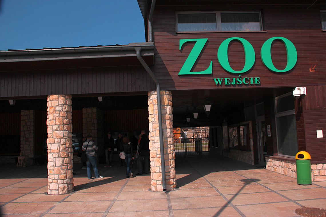Wieczór marzeń w Zoo w Zamościu