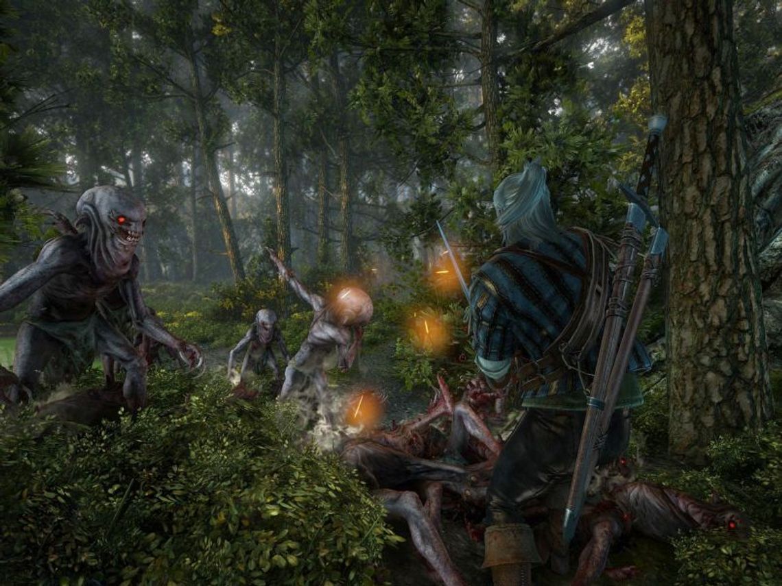 Wiedźmin 2: Zabójcy Królów. Oficjalne wymagania sprzętowe Wiedźmin 2: Zabójcy Królów. Oficjalne wymagania sprzętowe