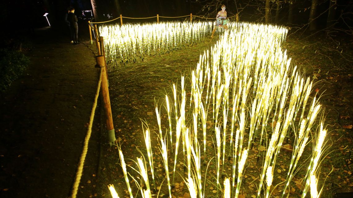Wielka atrakcja i świetny biznes. Lumina Park w Lublinie znowu działa [godziny otwarcia i ceny biletów]