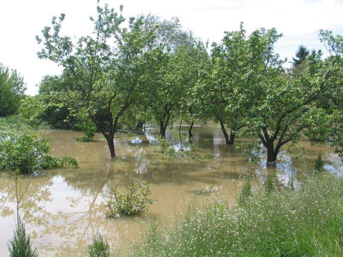 Wielka kontrola wielkiej wody. Kto zawinił? Wielka kontrola wielkiej wody. Kto zawinił?