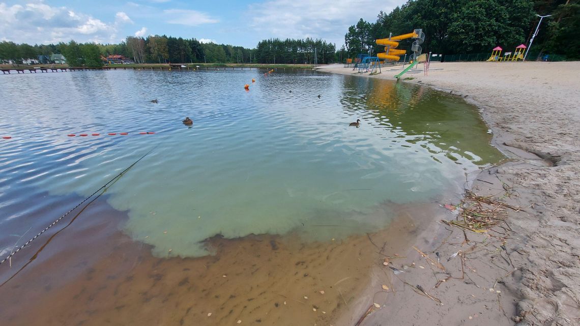 Wielka niebiesko-zielona plama na kąpielisku. Lepiej nie wchodzić do wody!