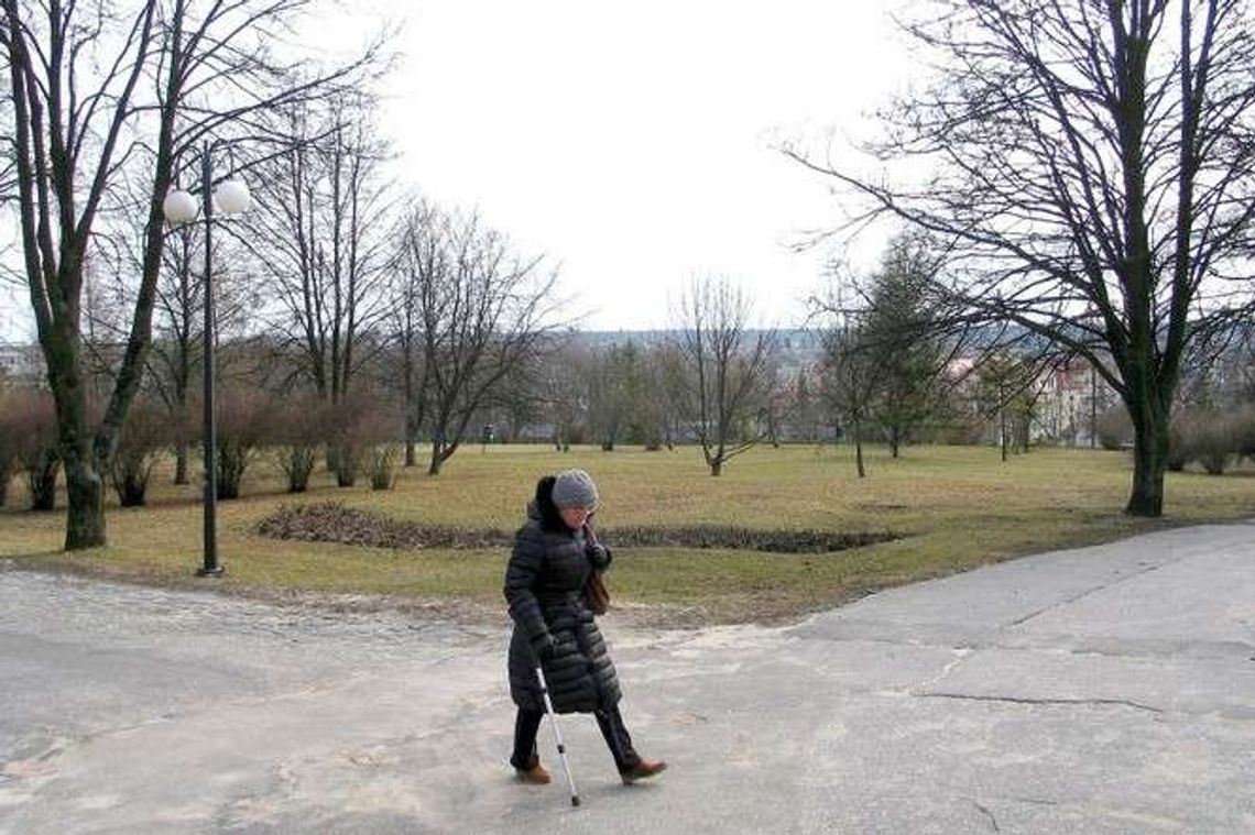 Wielka wycinka drzew w całej Polsce. A w Chełmie będą sadzić