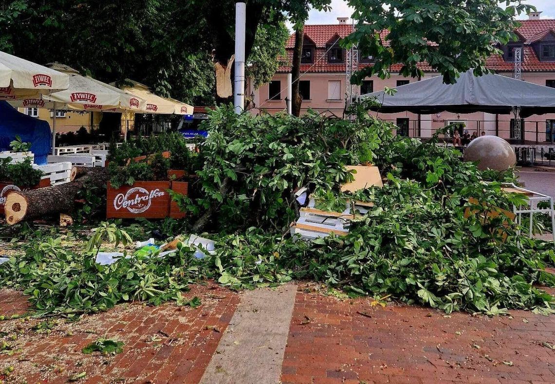 Wielki konar kasztanowca spadł na ludzi w Zamościu. Mamy nowe informacje Wielki konar kasztanowca spadł na ludzi w Zamościu. Mamy nowe informacje
