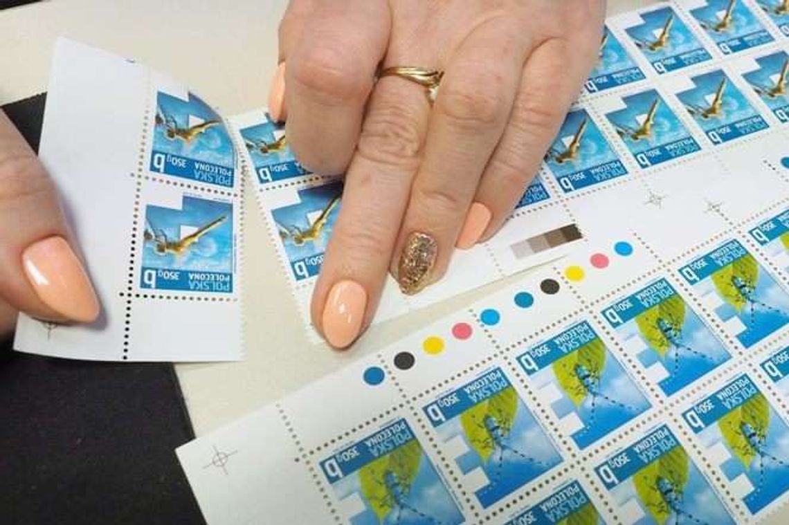 Wielki przekręt w państwowej firmie. Miesiącami nikt nie zauważał oszustw Doroty P.