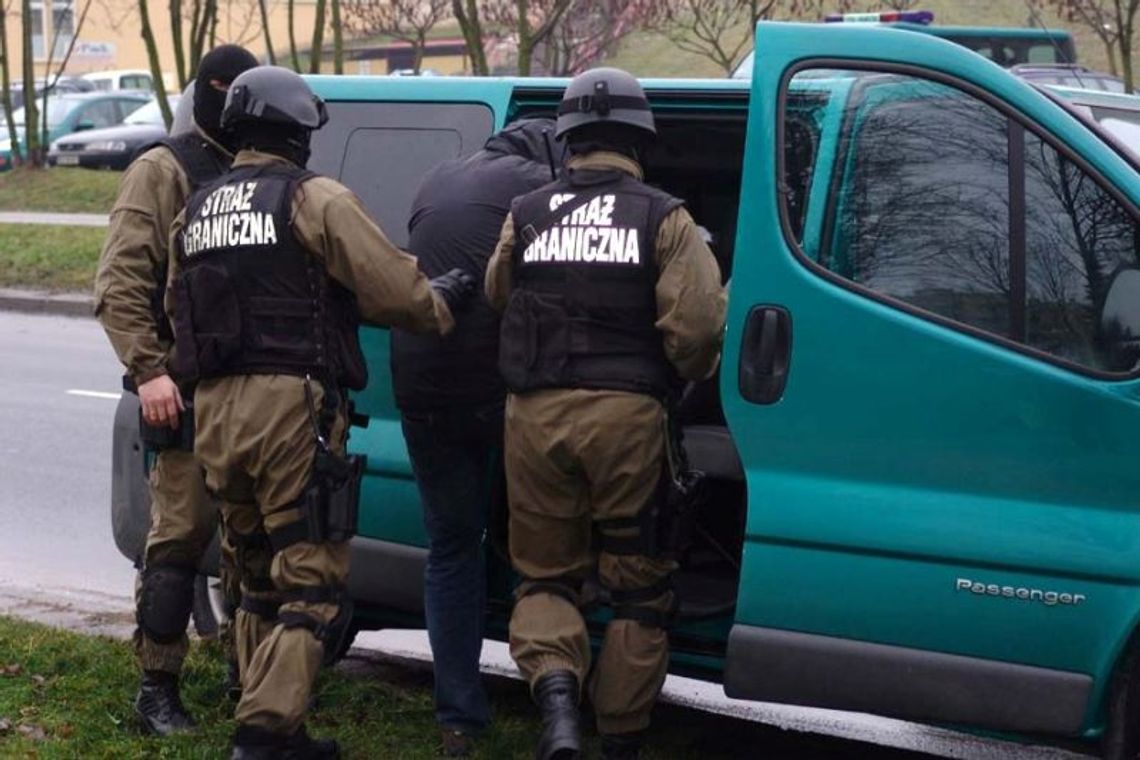 Wielki przemyt papierosów. Tytoniowy gang trafił za kraty (wideo) Wielki przemyt papierosów. Tytoniowy gang trafił za kraty (wideo)