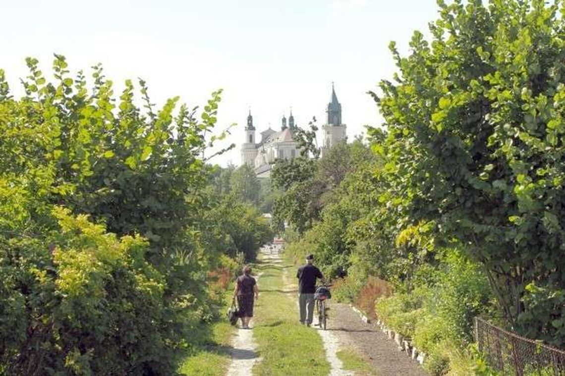 Wielki Staw Królewski powstanie w Lublinie? Działkowcy nie chcą oddać terenu Wielki Staw Królewski powstanie w Lublinie? Działkowcy nie chcą oddać terenu