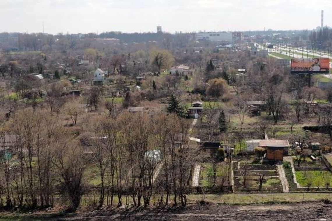 Wielki Staw Królewski zamiast ogródków działkowych? Działkowcy mają inny pomysł