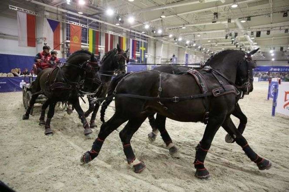 Wielki zjazd koni. Cavaliada 2018 od czwartku w Lublinie [program]