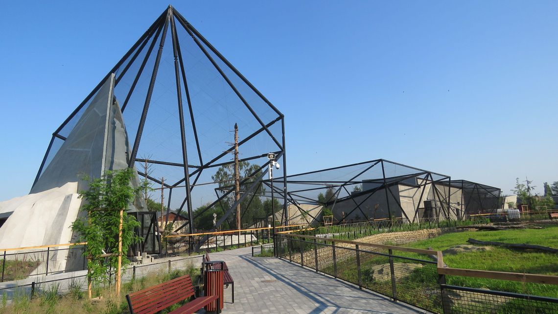 Wielkie otwarcie w zoo w Zamościu. Flamingi się spóźnią, ale mają wymówkę