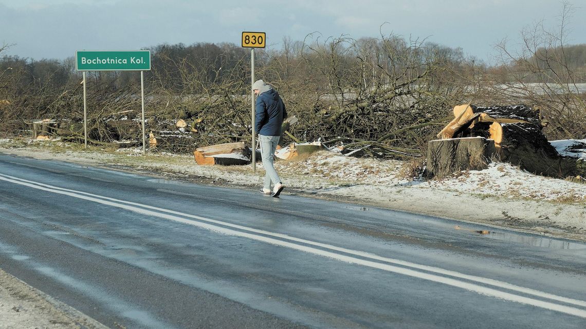 Wielkie rżnięcie pod Nałęczowem. Pod topór pójdzie olbrzymia liczba drzew [zdjęcia, wideo]