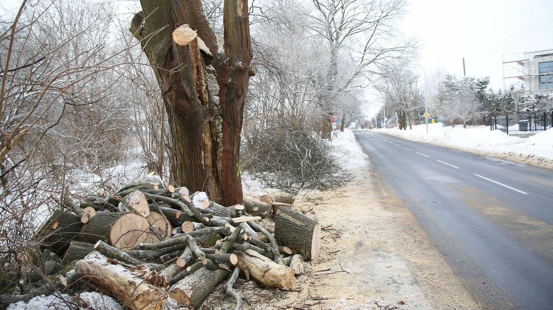 Wielkie rżnięcie w Lublinie i Ratusza „gra w zielone”