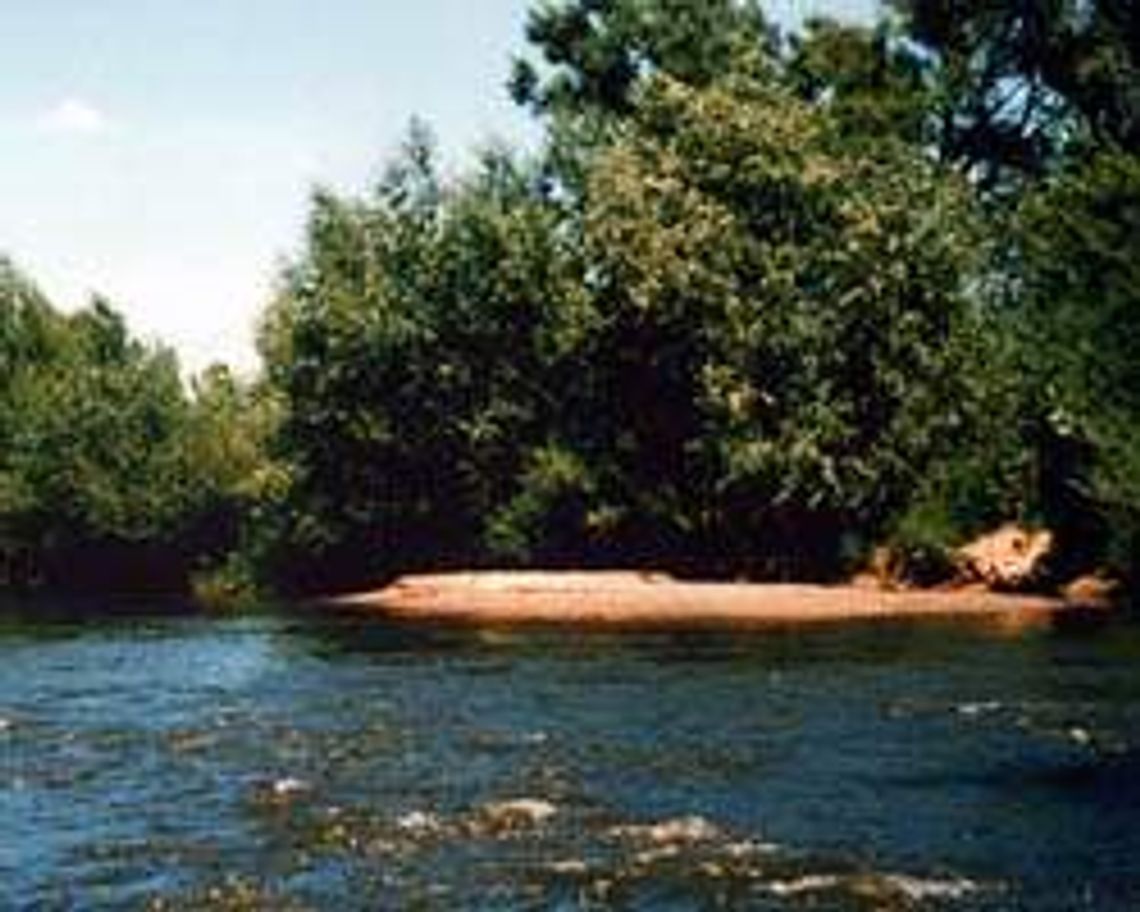 Wieprz w gminie Trawniki (nr 70) - 1 głos