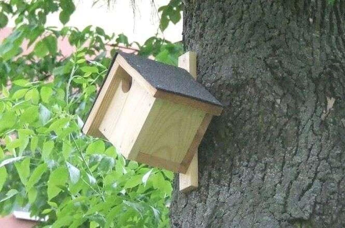Więźniowie robią budki dla ptaków
