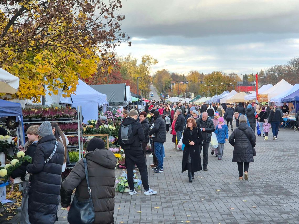 Wigilia Wszystkich Świętych na Majdanku. Lublin szykuje się do 1 listopada
