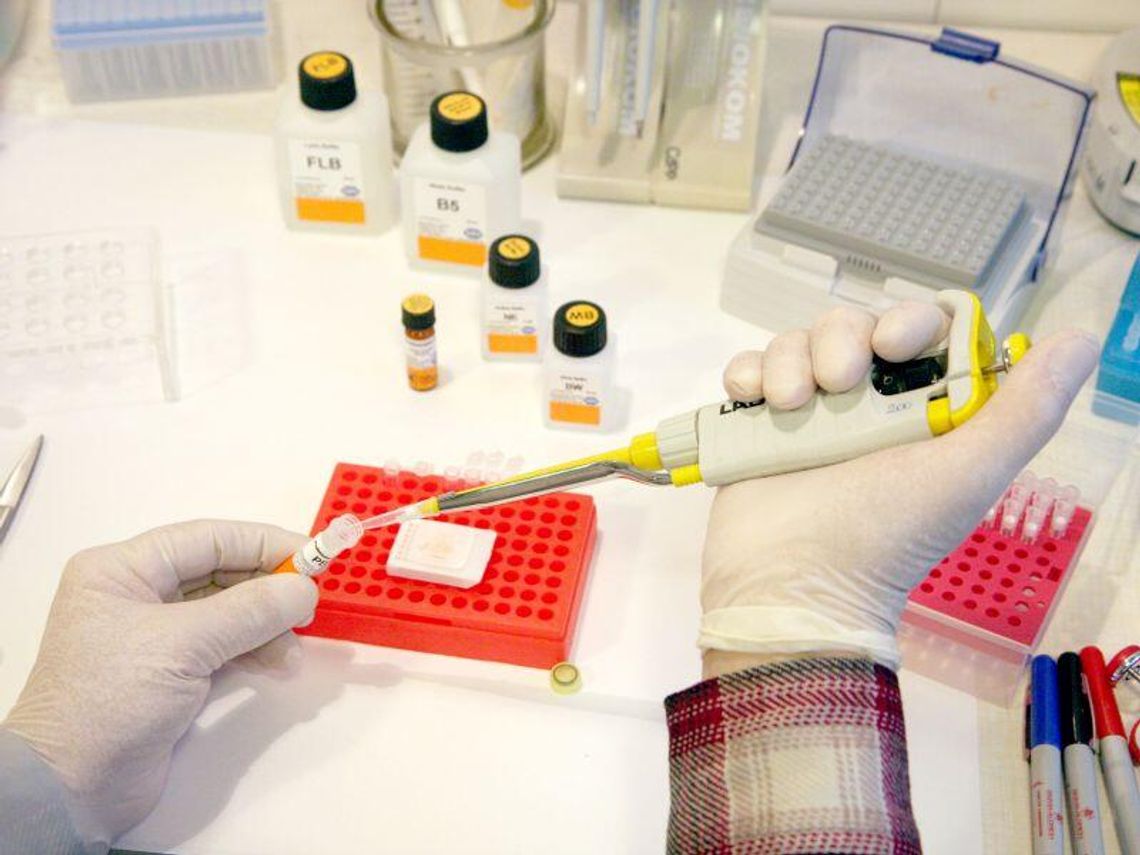 Wilczopole: Piotr S. oskarżony o gwałt po badaniu DNA