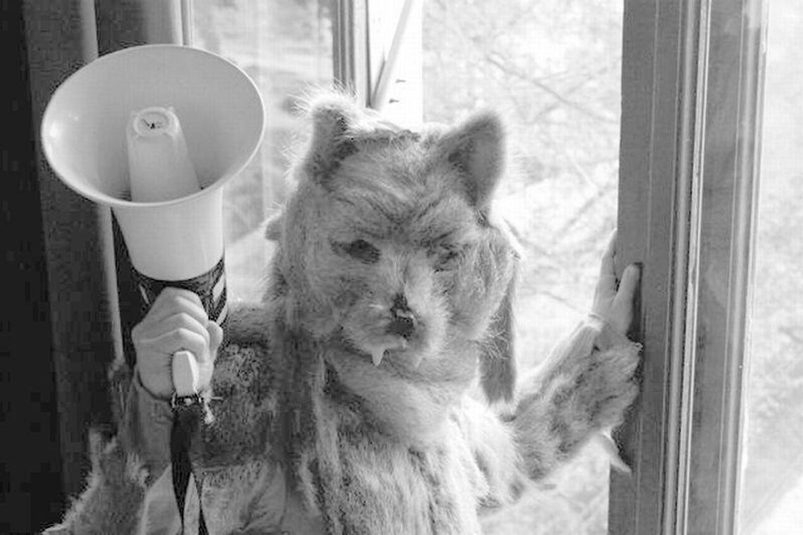 Wilk u Bram. Premiera w Andersenie