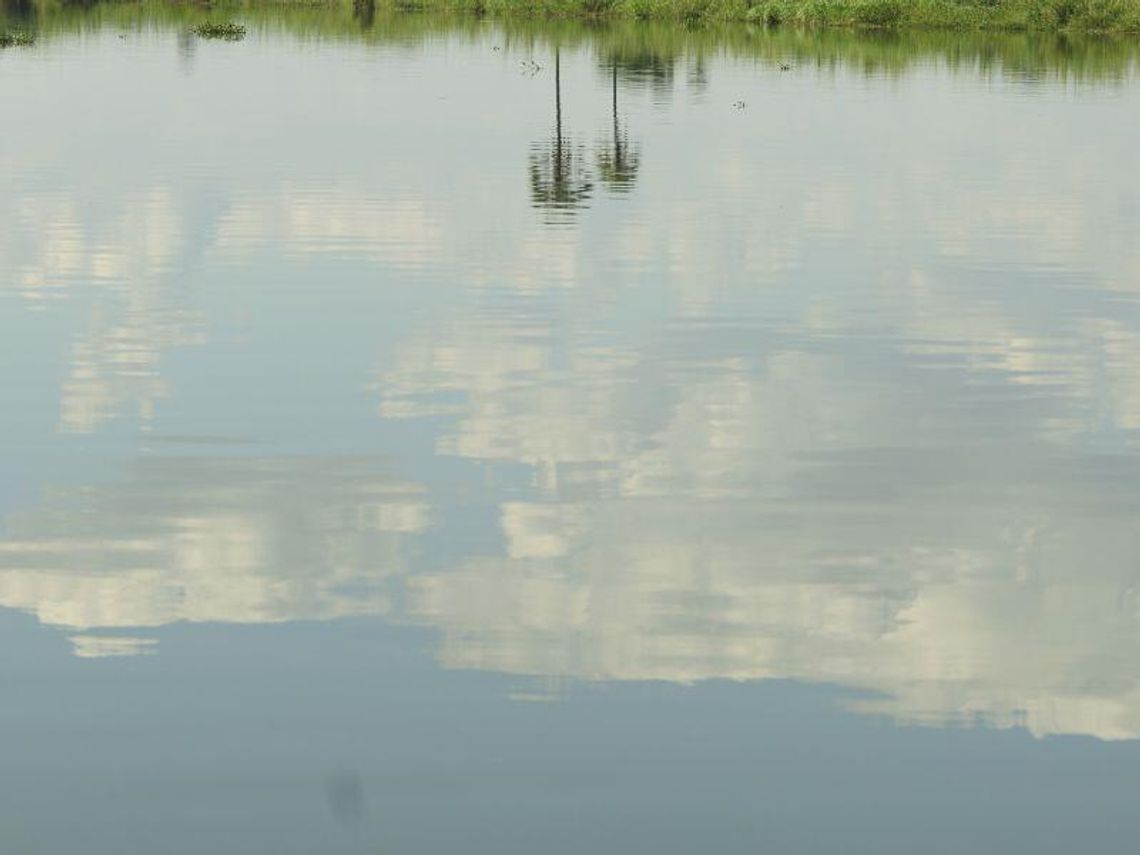 Wilkołaz I: Będzie zbiornik rekreacyjny Wilkołaz I: Będzie zbiornik rekreacyjny