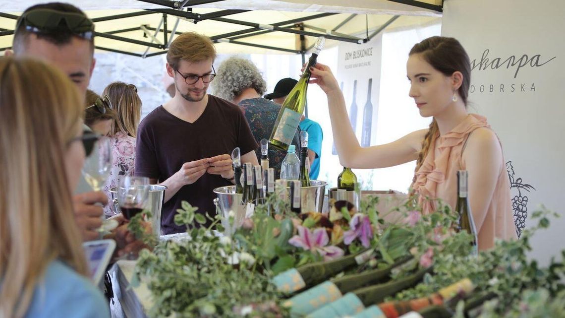 Winobranie na zamku w Kazimierzu Dolnym Winobranie na zamku w Kazimierzu Dolnym