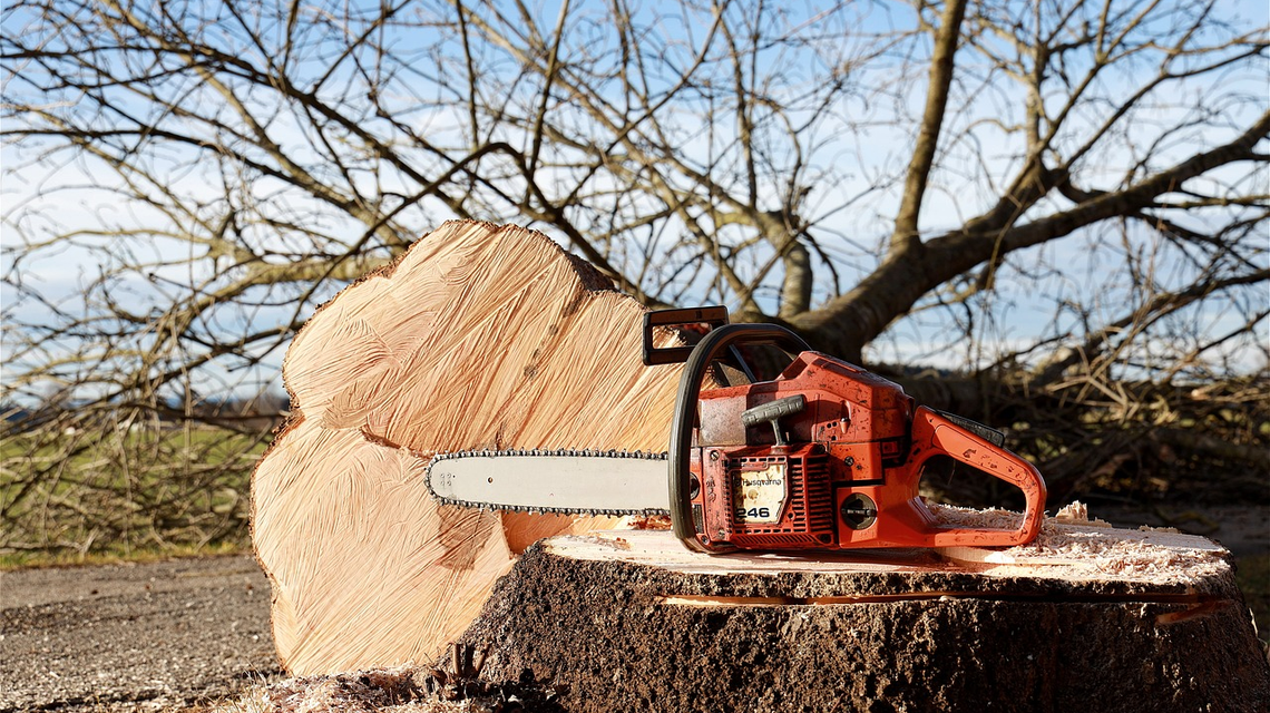 Wiosenne cięcie drzew to dla Ciebie problem? Z piłą do gałęzi stanie się łatwe i szybkie