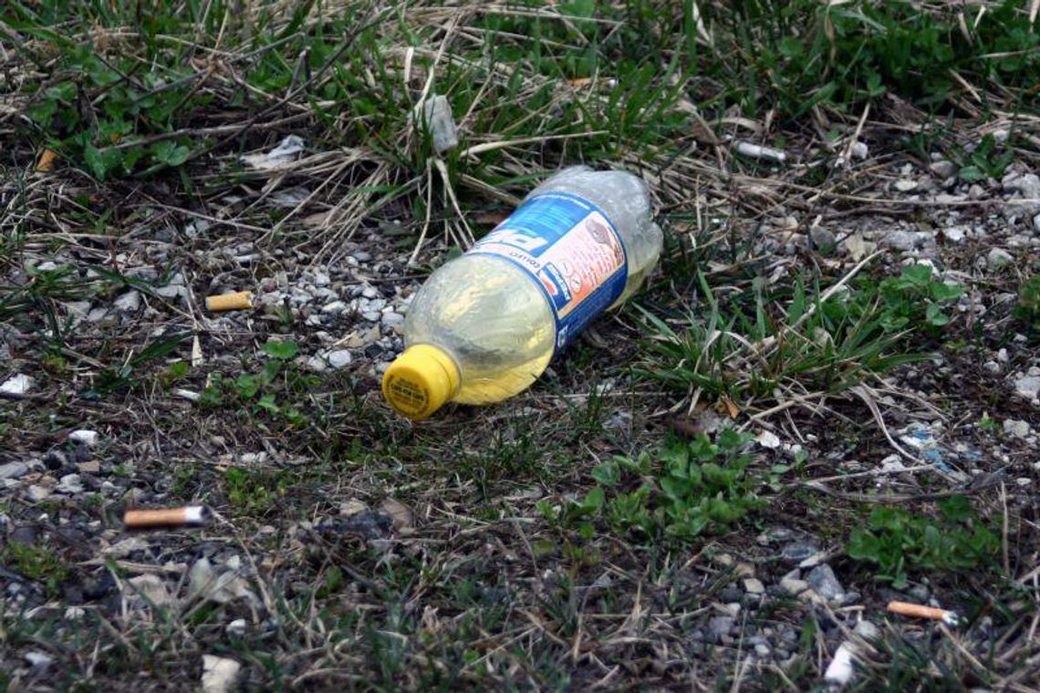 Wiosenne porządki. Bardzo potrzebna akcja w mieście