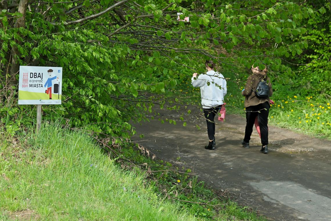 Wiosenne sprzątanie miasta. Tysiące mieszkańców w akcji