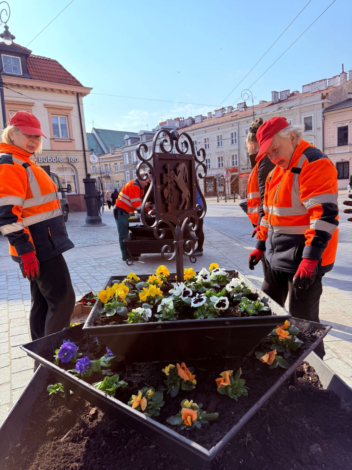Pracownicy w pomarańczowych kamizelkach sadzą kolorowe bratki w ozdobnej donicy na placu na Starym Mieście w Lublinie, wśród zabytkowych kamienic