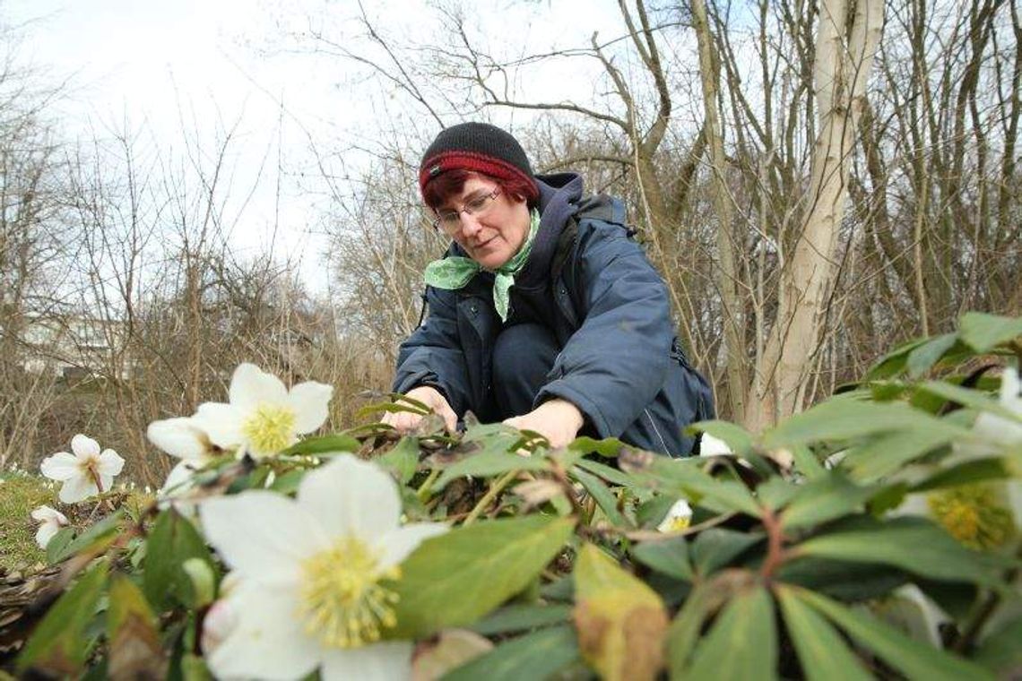 Wiosna coraz bliżej. Za tydzień nawet 15 stopni Celsjusza