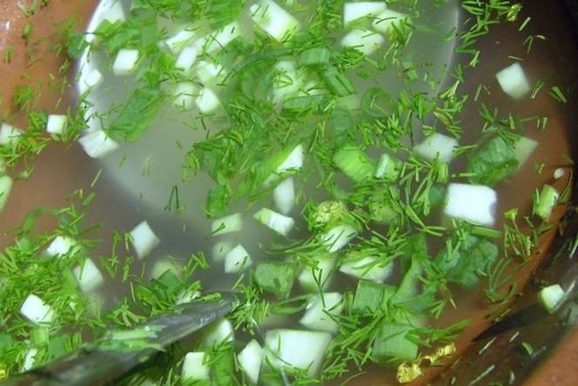 Wiosna, czyli najpiękniejszy czas w kuchni. Oto 10 zielonych dań Wiosna, czyli najpiękniejszy czas w kuchni. Oto 10 zielonych dań