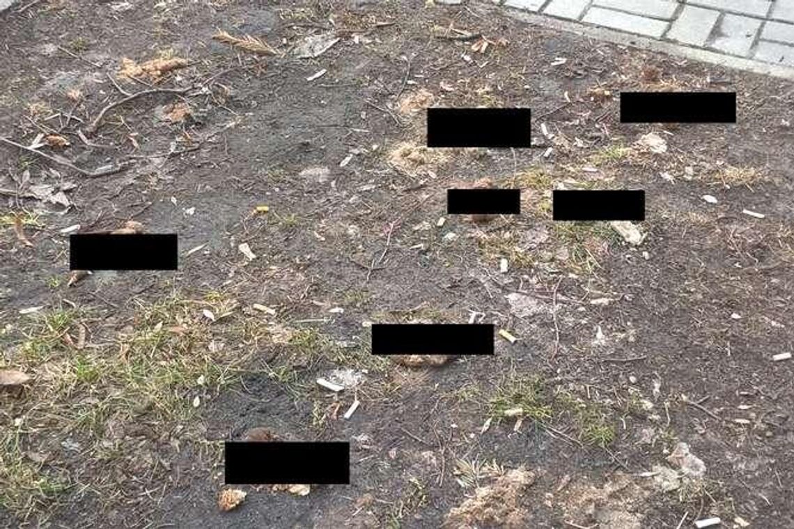 Wiosna odsłania "kwiatki" w mieście. Apel od Czytelnika Wiosna odsłania "kwiatki" w mieście. Apel od Czytelnika