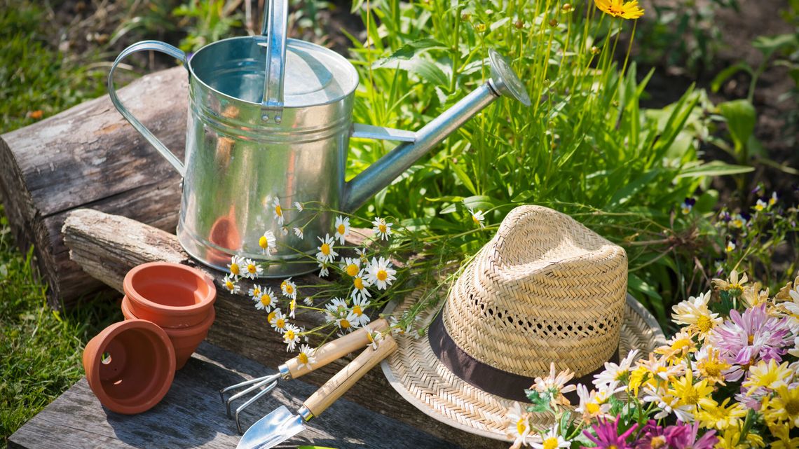 Wiosna w ogrodzie: czerwiec