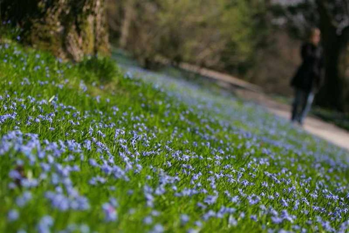 WIOSNA w progu. Kiedy zmieniamy czas na letni?