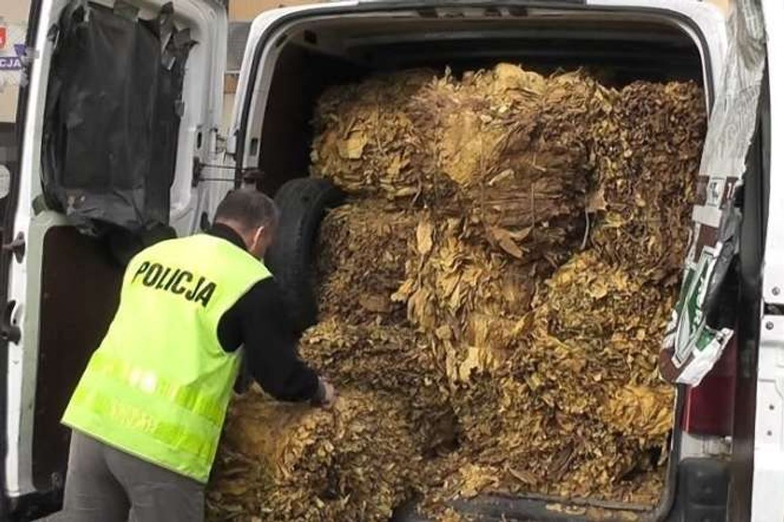 Wiózł prawie 700 kilogramów nielegalnego tytoniu w busie. Trafił do aresztu
