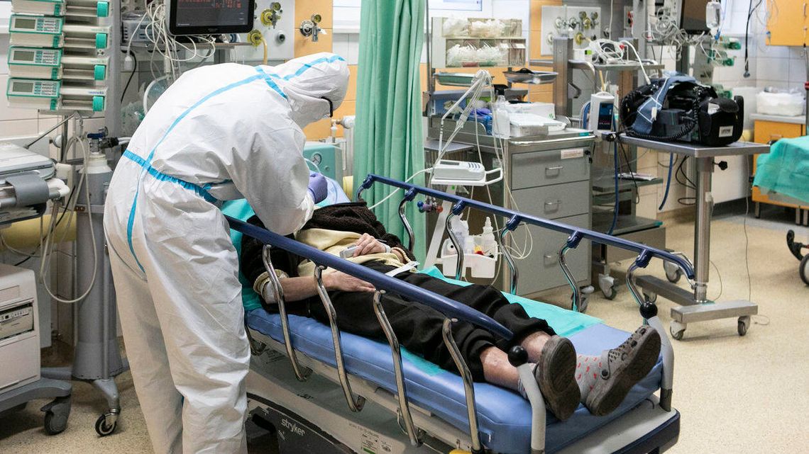 Wirusolog: Maseczki chronią, testy genetyczne są wiarygodne, a pandemia jest groźna