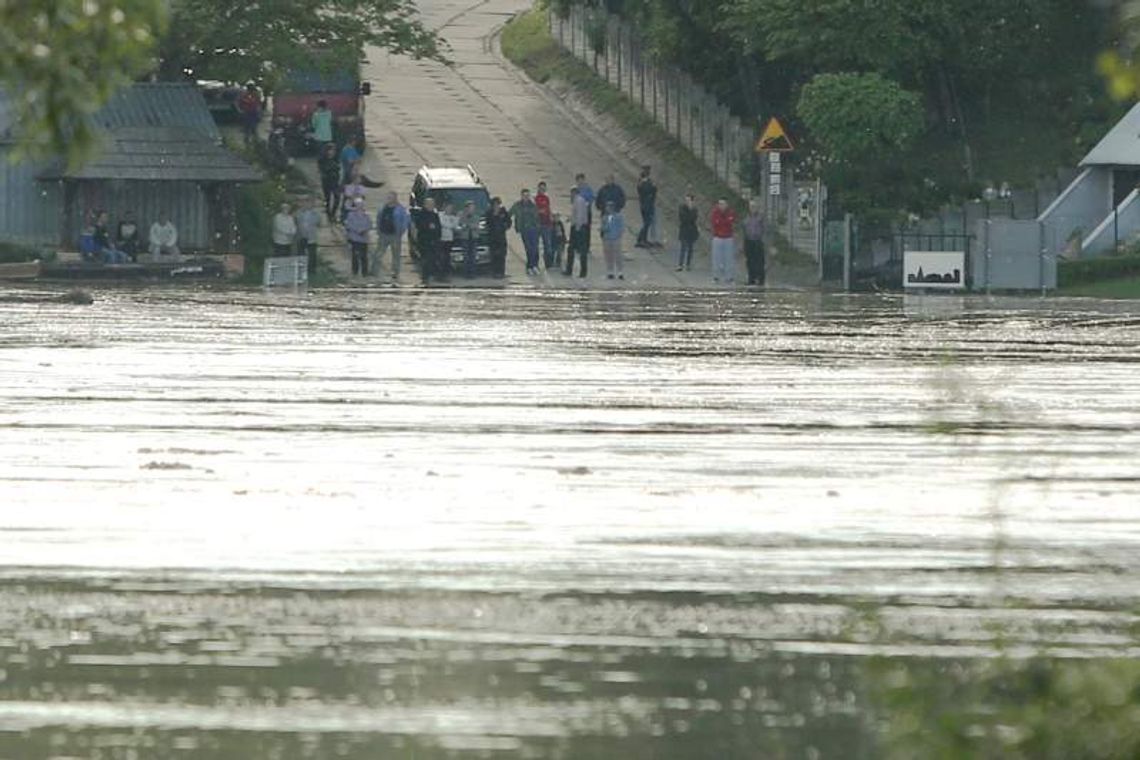 Wisła podeszła już pod wały, trwa wyścig z czasem. Byliśmy w Kępie Gosteckiej (wideo, zdjęcia)
