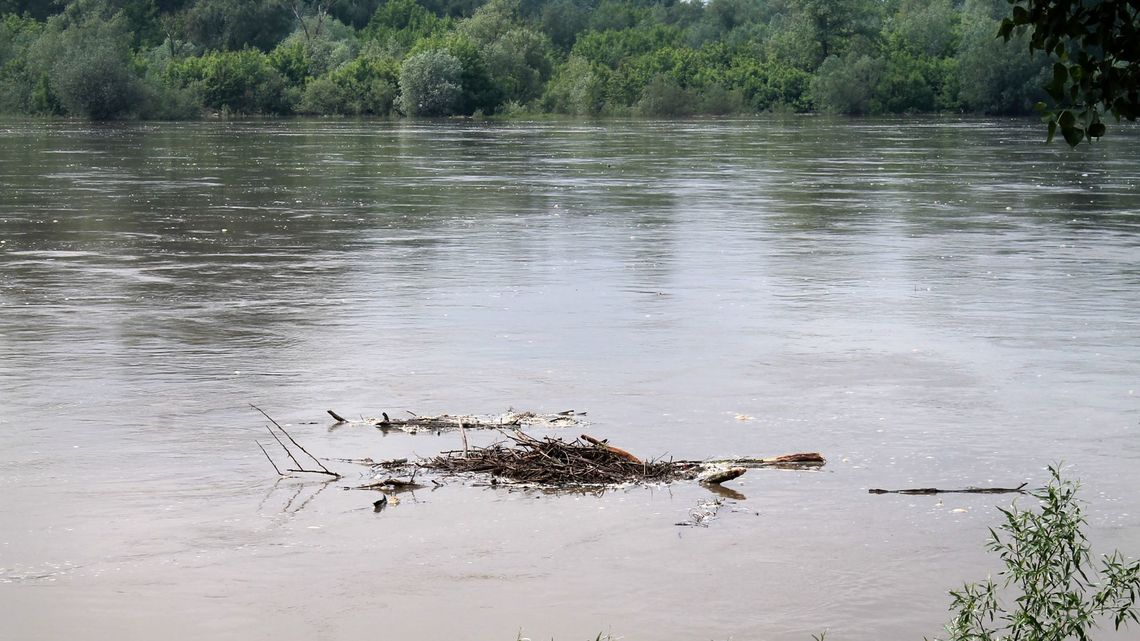 Wisła w Annopolu coraz bliżej stanu alarmowego. Aktualny stan wód w rzekach w woj. lubelskim