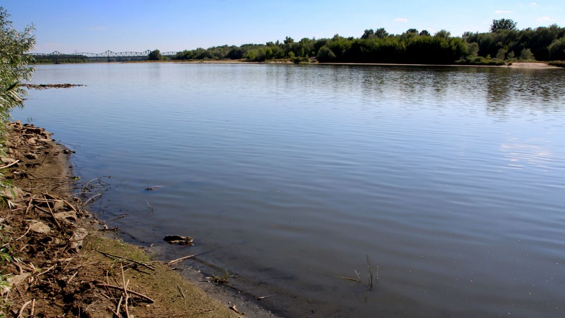 Wisła wysycha. Jej poziom zbliża się do historycznego rekordu Wisła wysycha. Jej poziom zbliża się do historycznego rekordu