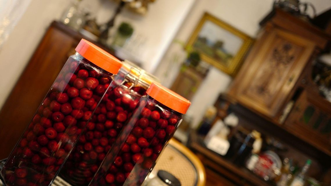 Wiśnia od kuchni. Radzimy jaką odmianę kupić