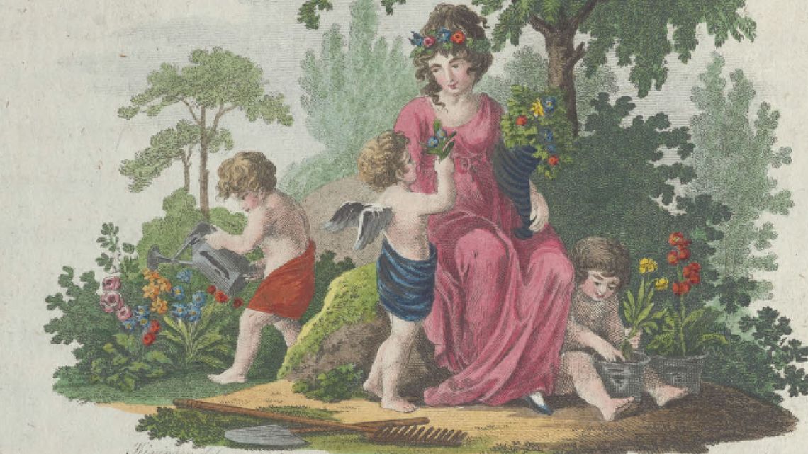 ﻿Wiszące Ogrody Księżnej Izabeli. Tysiące róż ozdobią Pałac Czartoryskich w Puławach