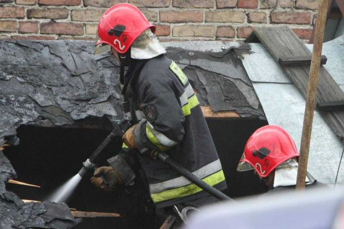 Witowice: Pożar kurnika. 18,5 tys. kurczaków spłonęło