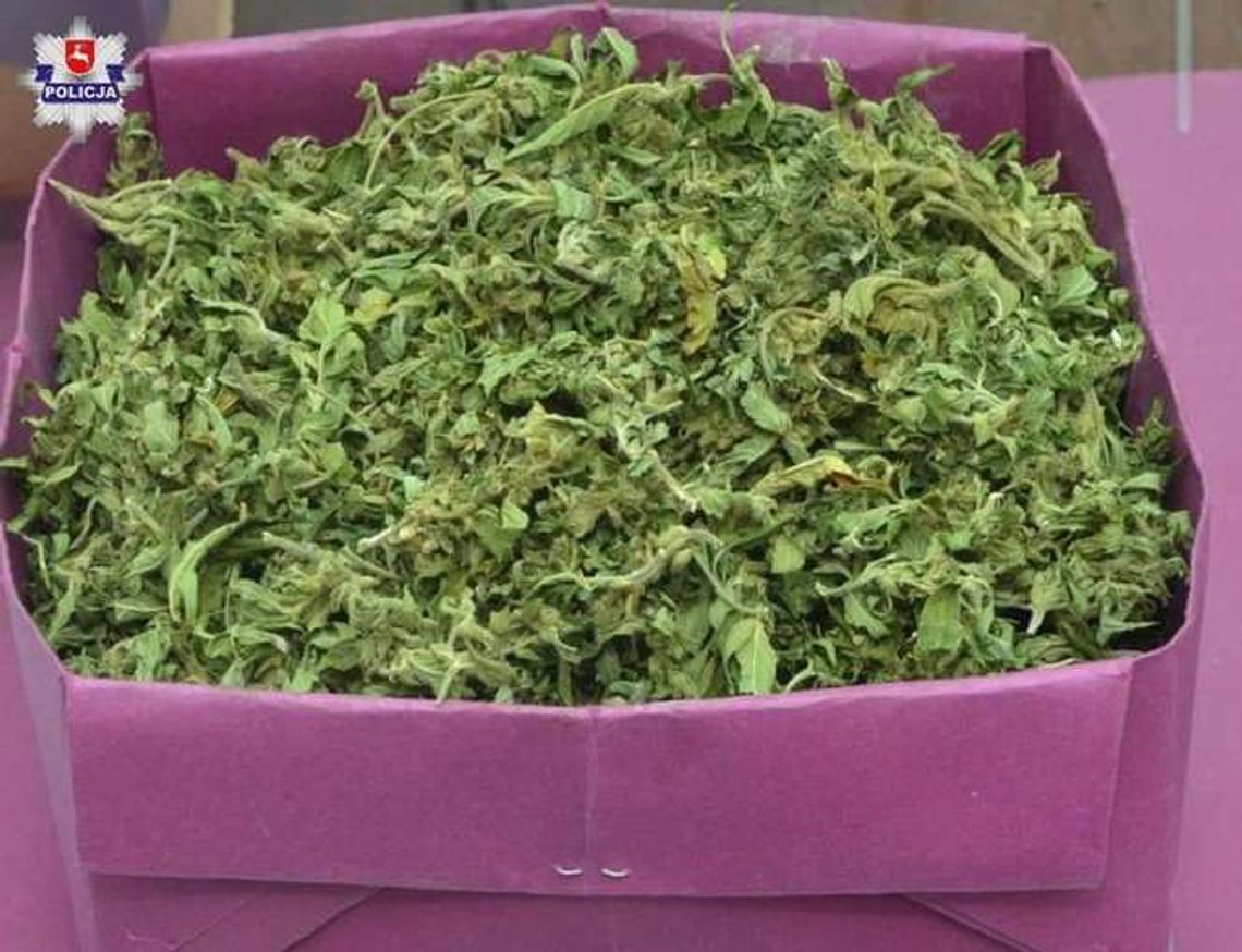 Wizyta policjantów na posesji. Szukali i znaleźli