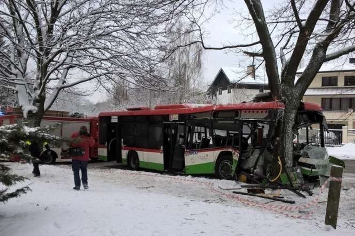 Wjechał autobusem miejskim w drzewo. Śledczy: Jechał zbyt szybko